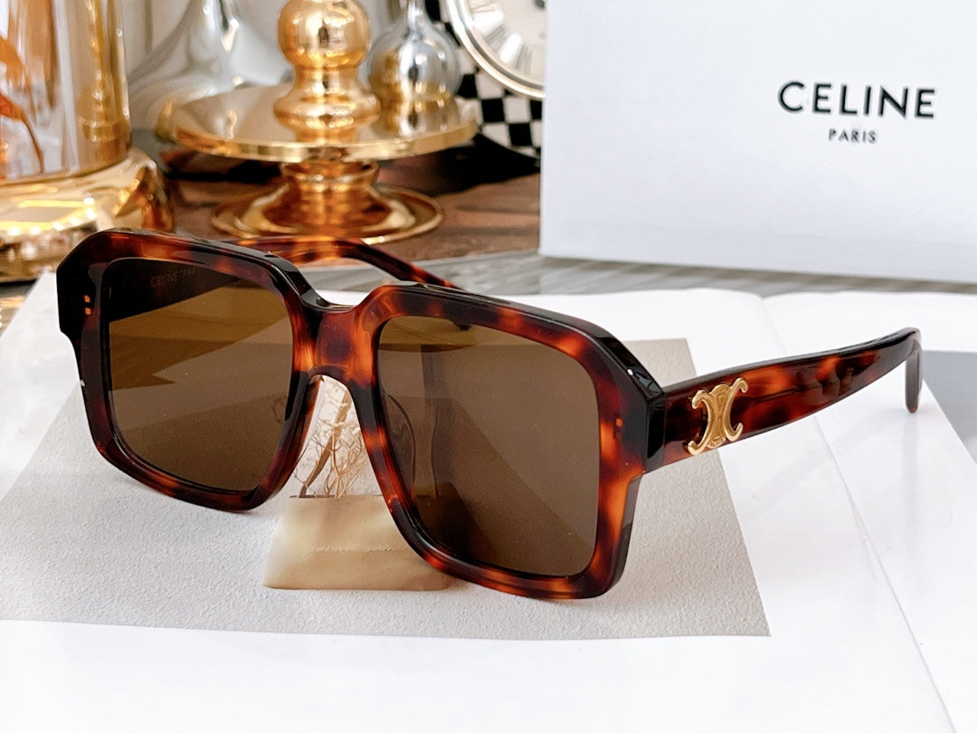 CELINE TRIOMPHE SUNGLASS CL4S490 IN ACETATE