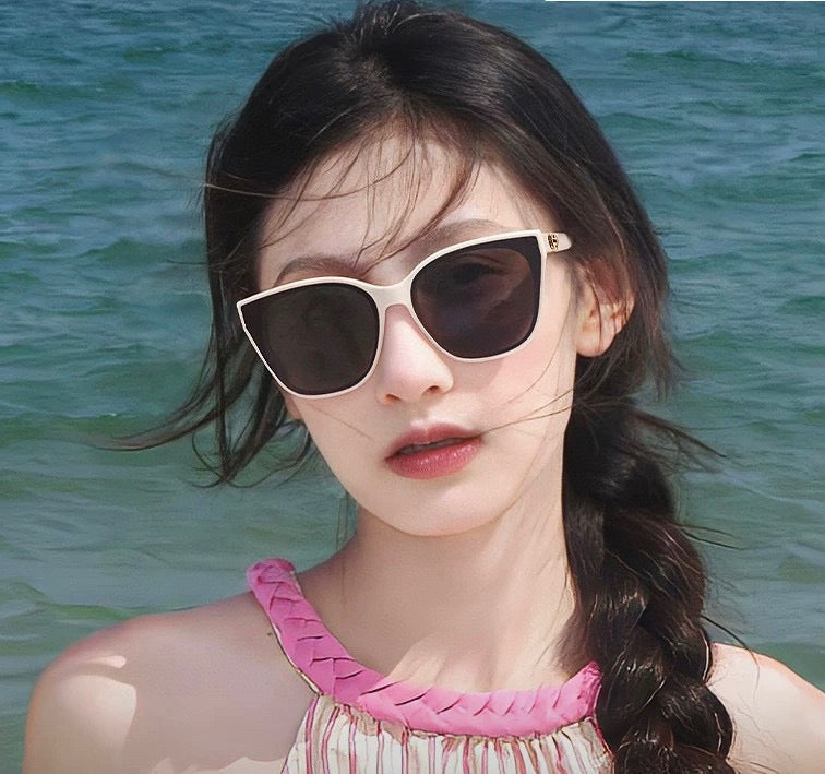 DIOR MONTAIGNE SUNGLASS CD67711 IN ACETATE