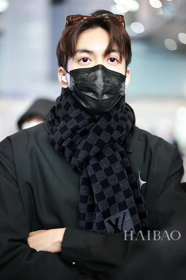 LOUIS VUITTON PETIT DAMIER SCARF 170 CM IN BLACK CASHMERE 390784