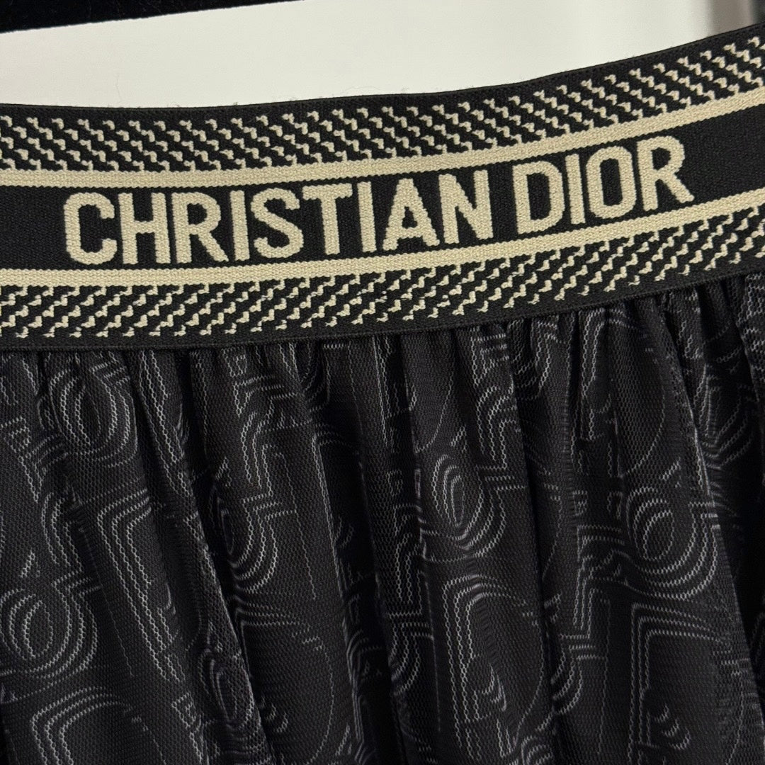 DIOR 25S MESH DRESS 451