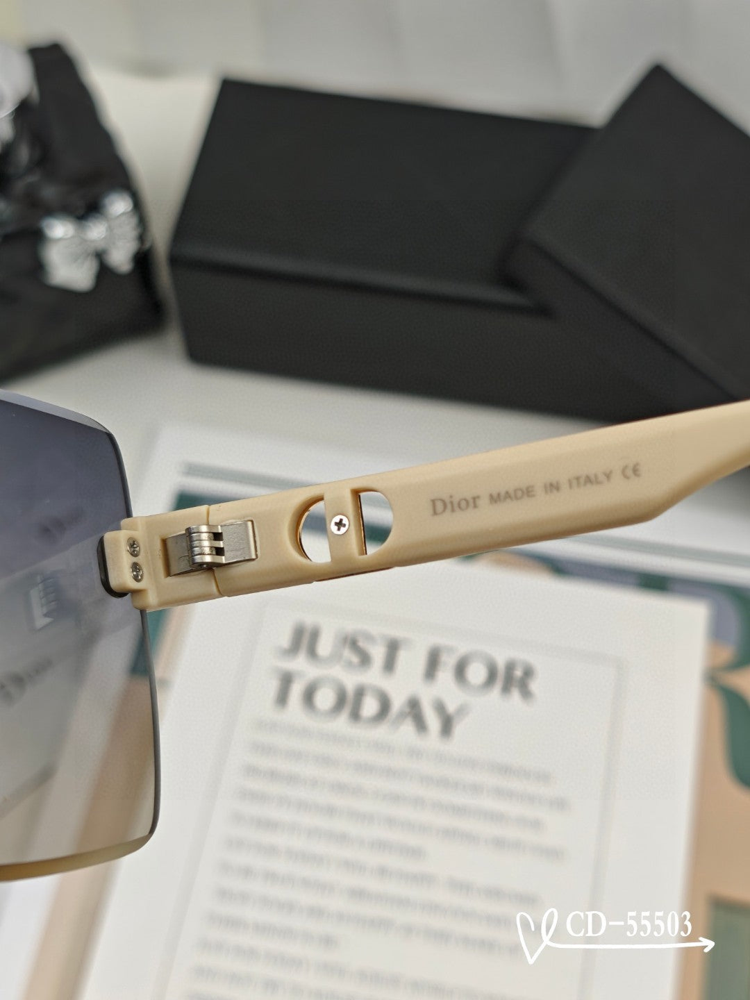 DIOR MONTAIGNE SUNGLASS 55503 IN ACETATE