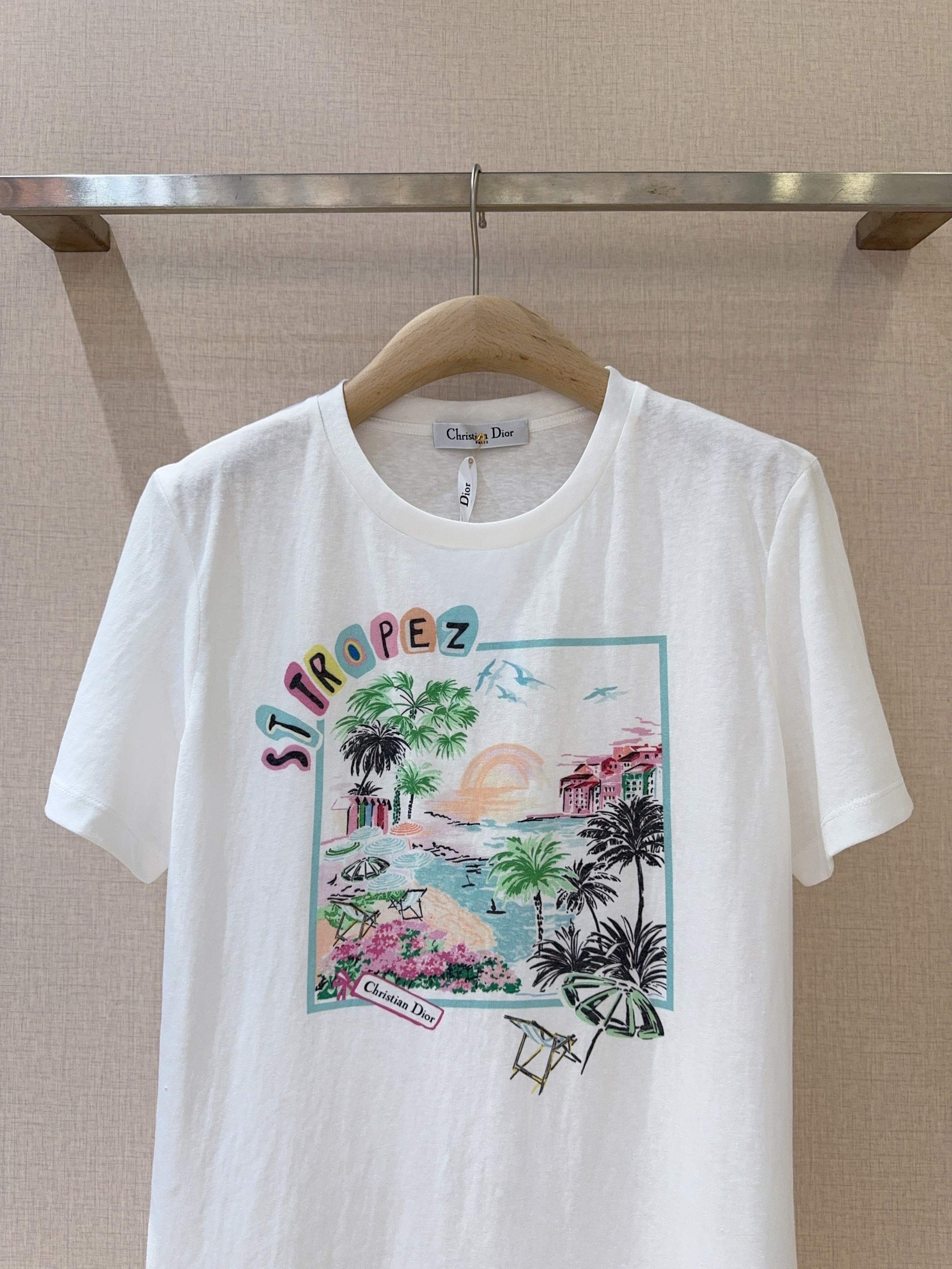 DIOR 25S CREW-NECK T-SHIRT 760