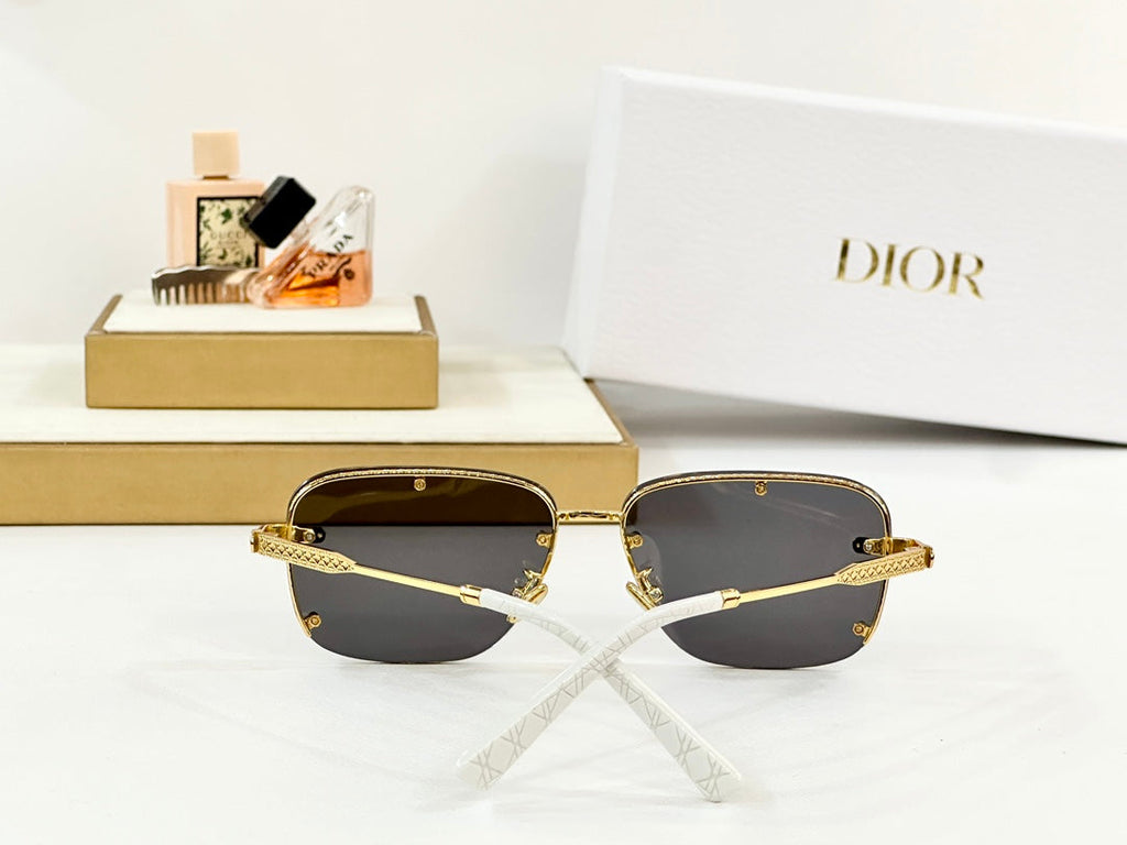 DIOR MONTAIGNE SUNGLASS NEO A4U IN METAL