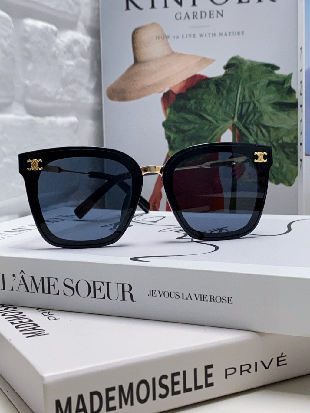 CELINE TRIOMPHE SUNGLASSES 548591 IN BLACK ACETATE