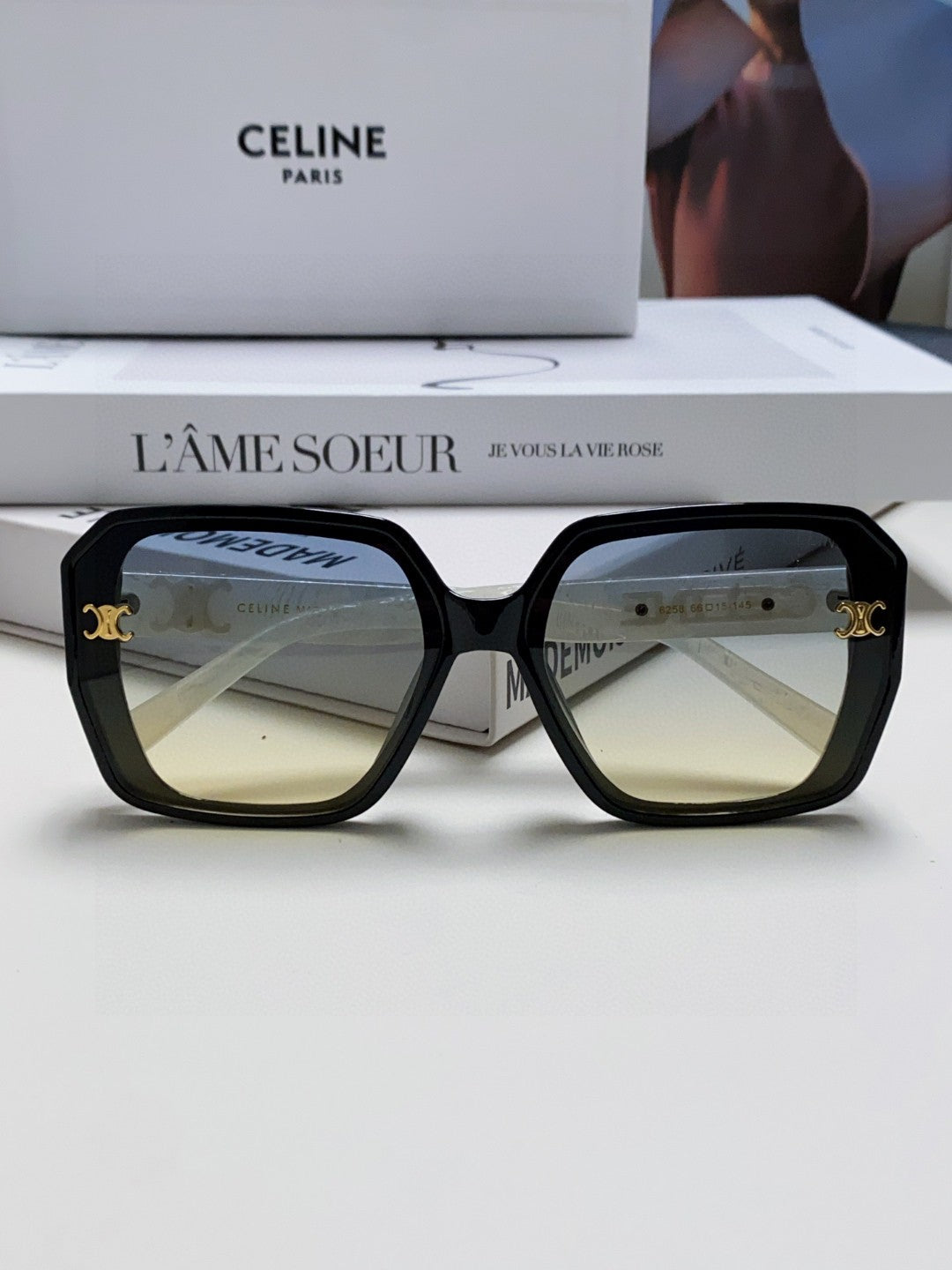 CELINE TRIOMPHE SUNGLASSES 548593 IN BLACK AND WHITE ACETATE