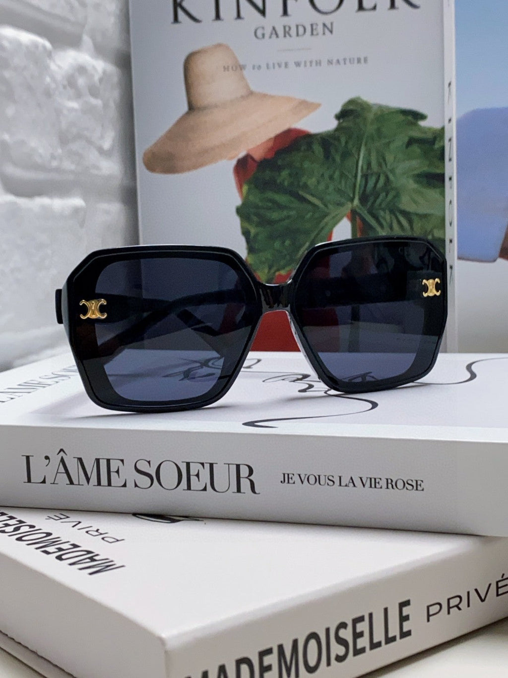 CELINE TRIOMPHE SUNGLASSES 548595 IN BLACK ACETATE