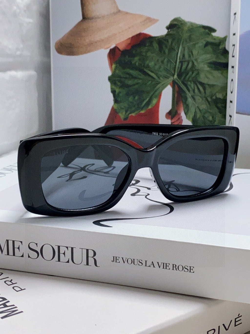 CELINE TRIOMPHE SUNGLASSES 548601 IN BLACK ACETATE SILVER LOGO