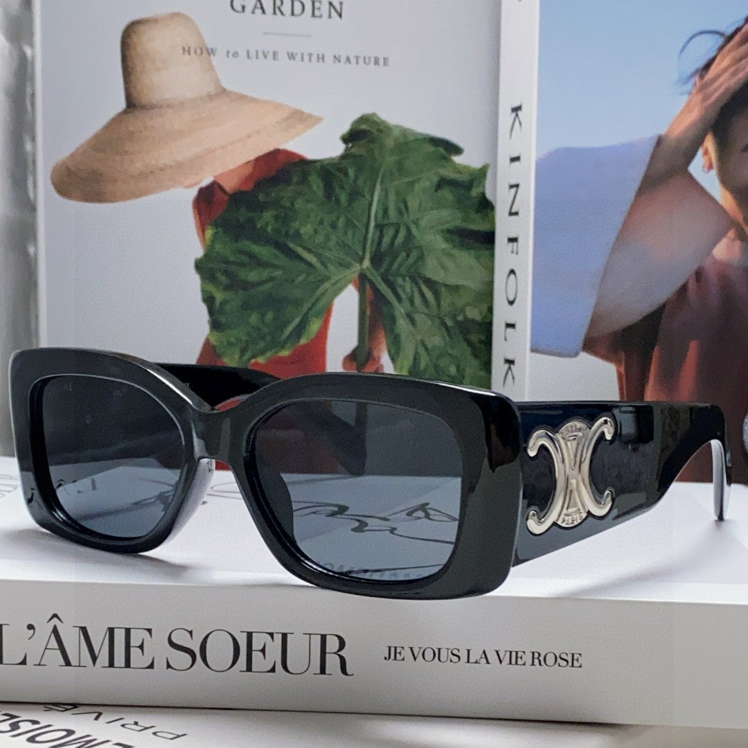 CELINE TRIOMPHE SUNGLASSES 548601 IN BLACK ACETATE SILVER LOGO