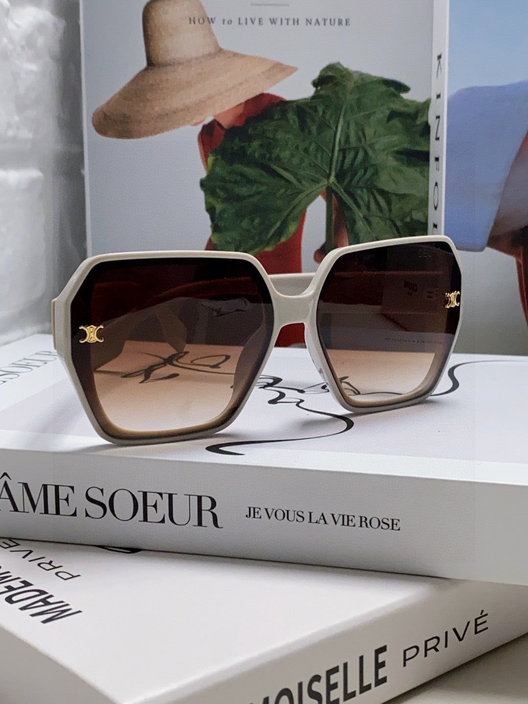 CELINE TRIOMPHE SUNGLASSES 552770 IN LIGHT GREY ACETATE