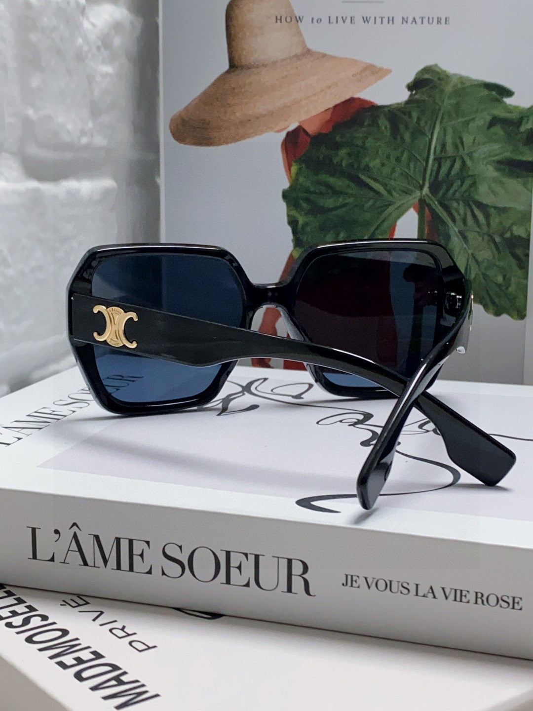 CELINE TRIOMPHE SUNGLASSES 552772 IN BLACK ACETATE