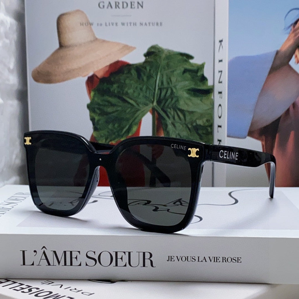 CELINE TRIOMPHE SUNGLASSES 552776 IN BLACK ACETATE TEXT LOGO