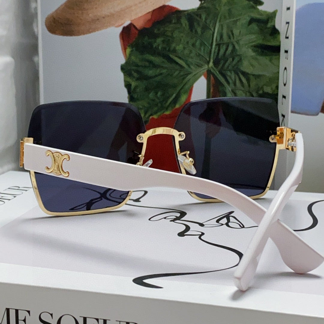 CELINE TRIOMPHE SQUARE SUNGLASSES 552780 IN ACETATE