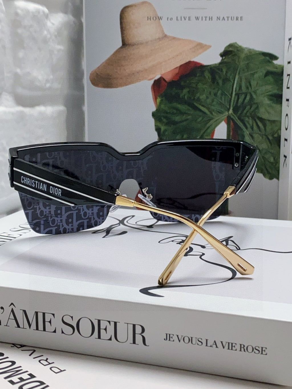 DIOR OBLIQUE SUNGLASS 571598 IN BLACK ACETATE
