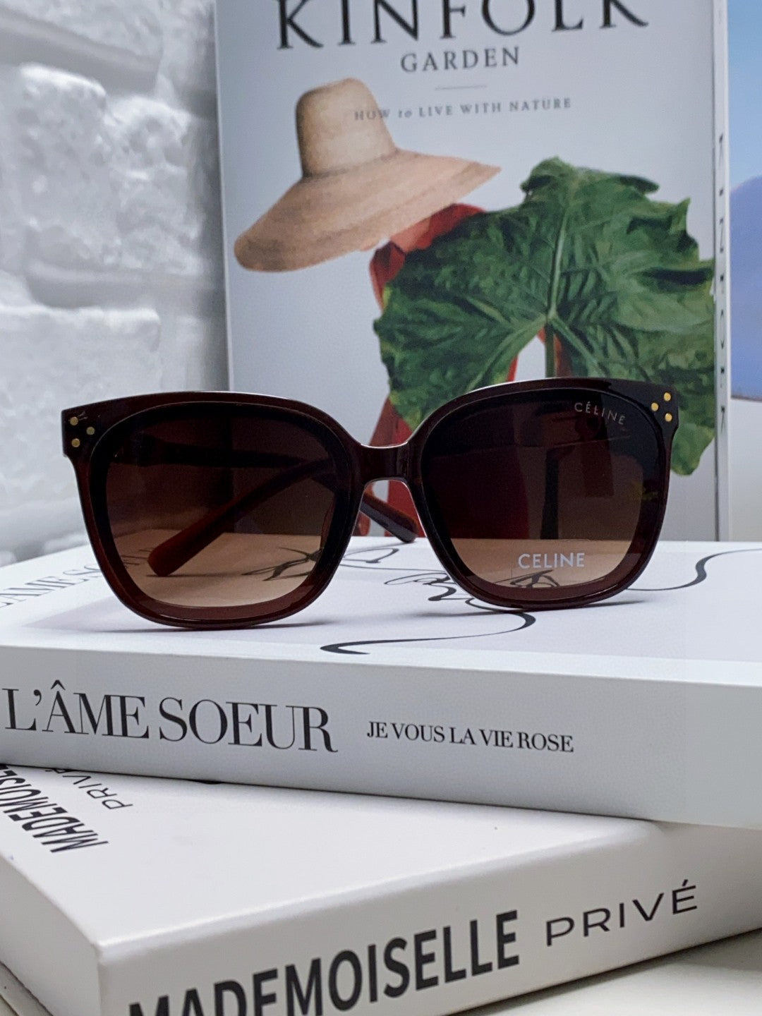 CELINE TRIOMPHE SUNGLASSES 573248 IN BROWN ACETATE METAL LOGO