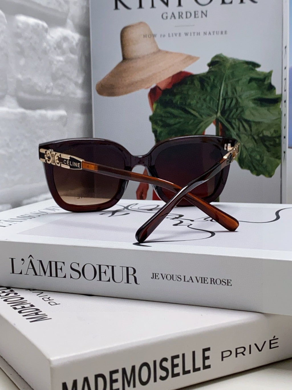 CELINE TRIOMPHE SUNGLASSES 573248 IN BROWN ACETATE METAL LOGO