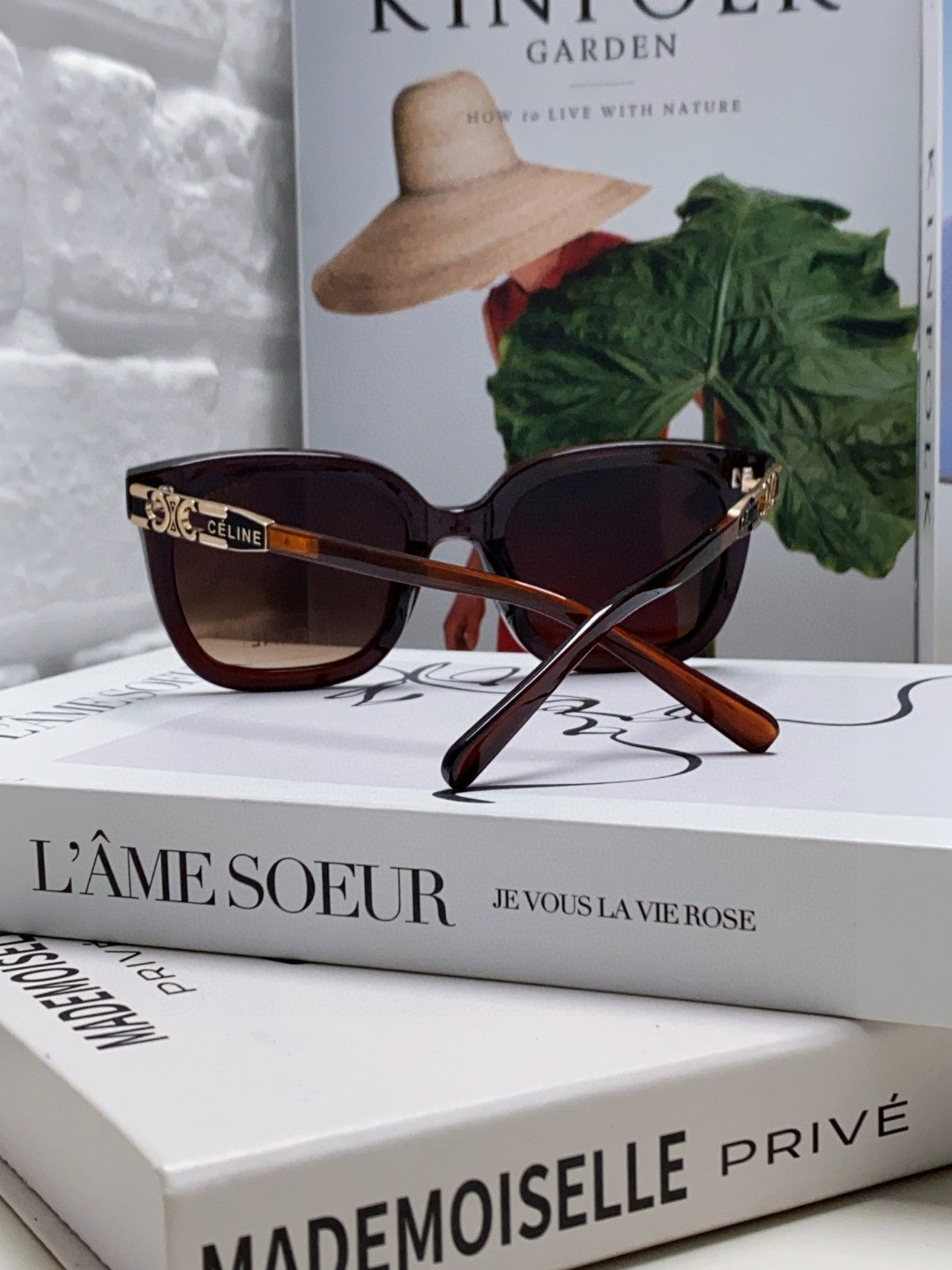 CELINE TRIOMPHE SUNGLASSES 573248 IN BROWN ACETATE METAL LOGO