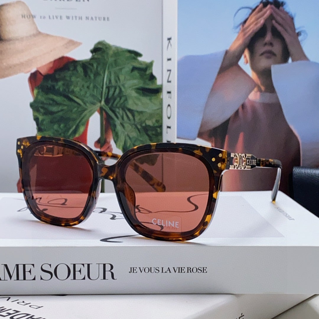 CELINE TRIOMPHE SUNGLASSES 573251 IN HAVANA ACETATE METAL LOGO