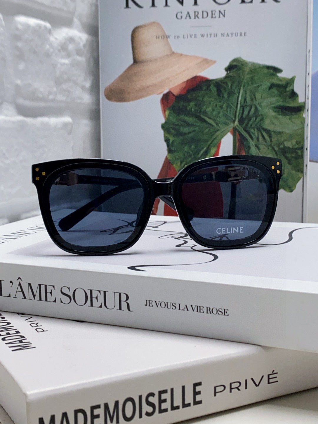 CELINE TRIOMPHE SUNGLASSES 573252 IN BLACK ACETATE METAL LOGO