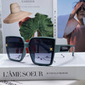 CELINE TRIOMPHE SUNGLASSES 573253 IN BABY BLUE ACETATE