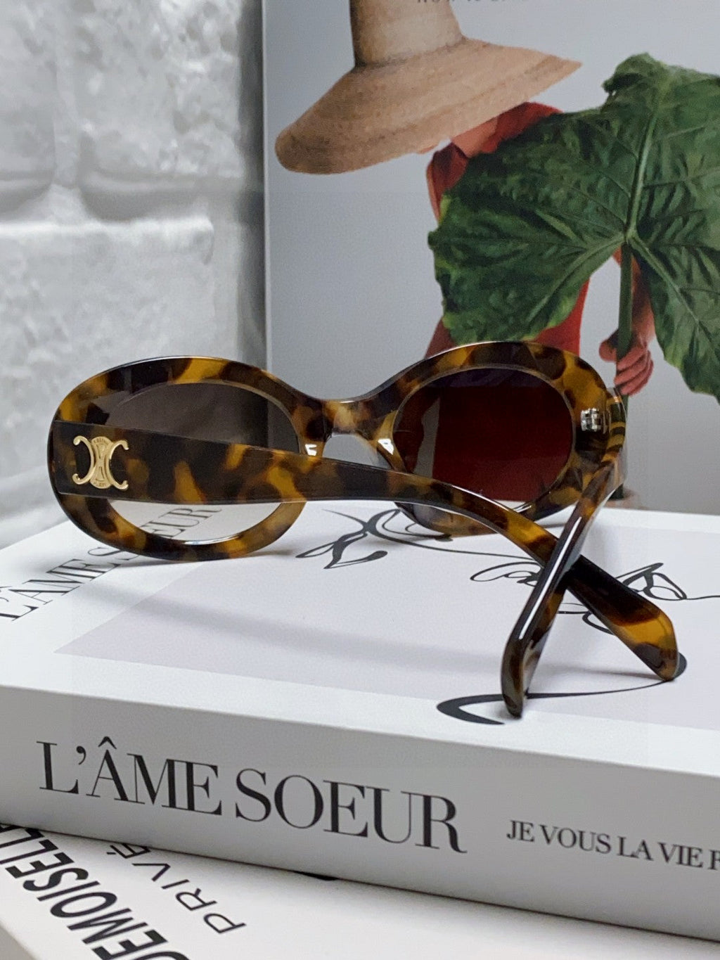 CELINE TRIOMPHE SUNGLASSES CL40194 IN ACETATE