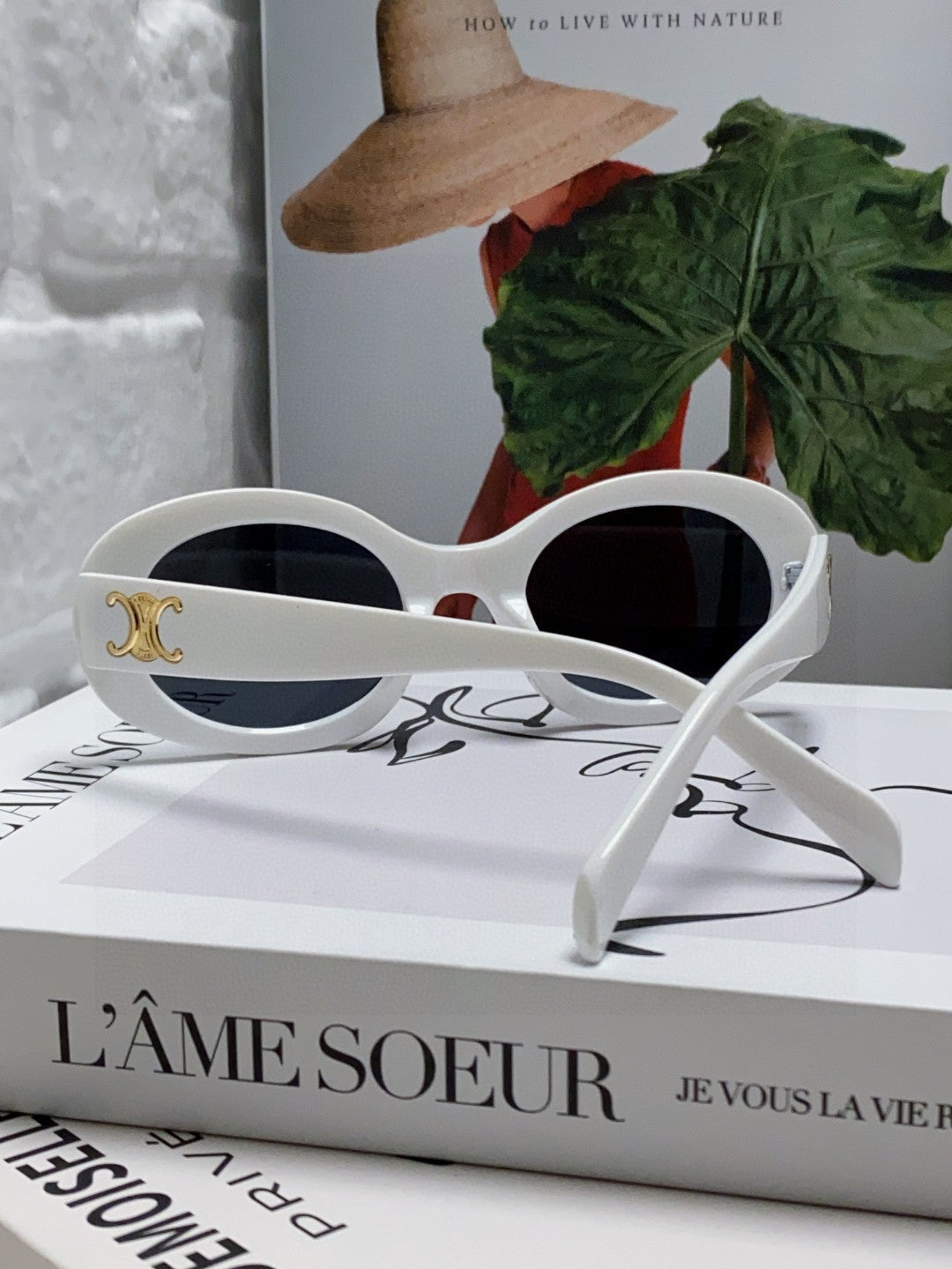 CELINE TRIOMPHE SUNGLASSES CL40194 IN ACETATE