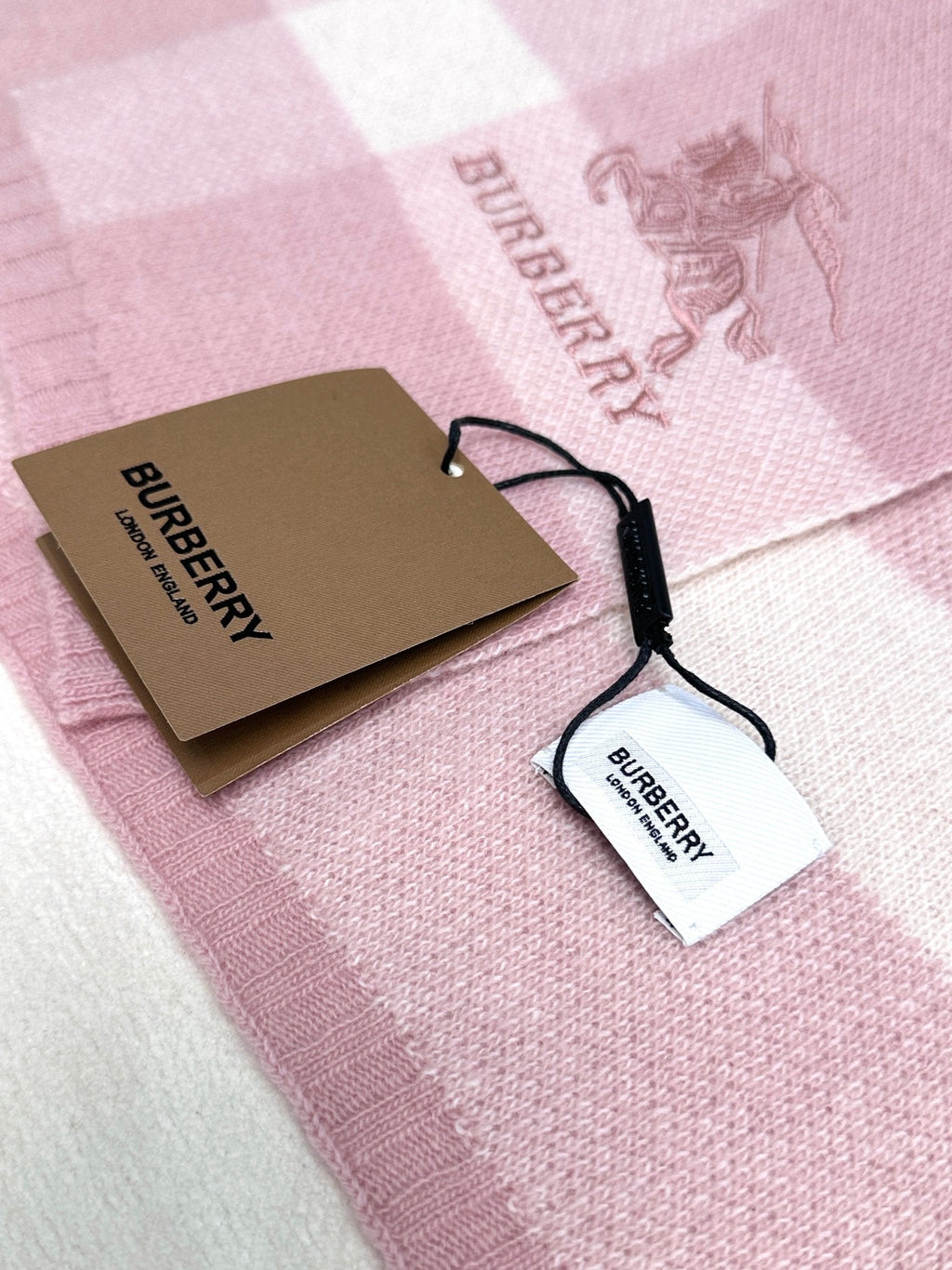 SCARF 190 CM IN LIGHT PINK CASHMERE 398396
