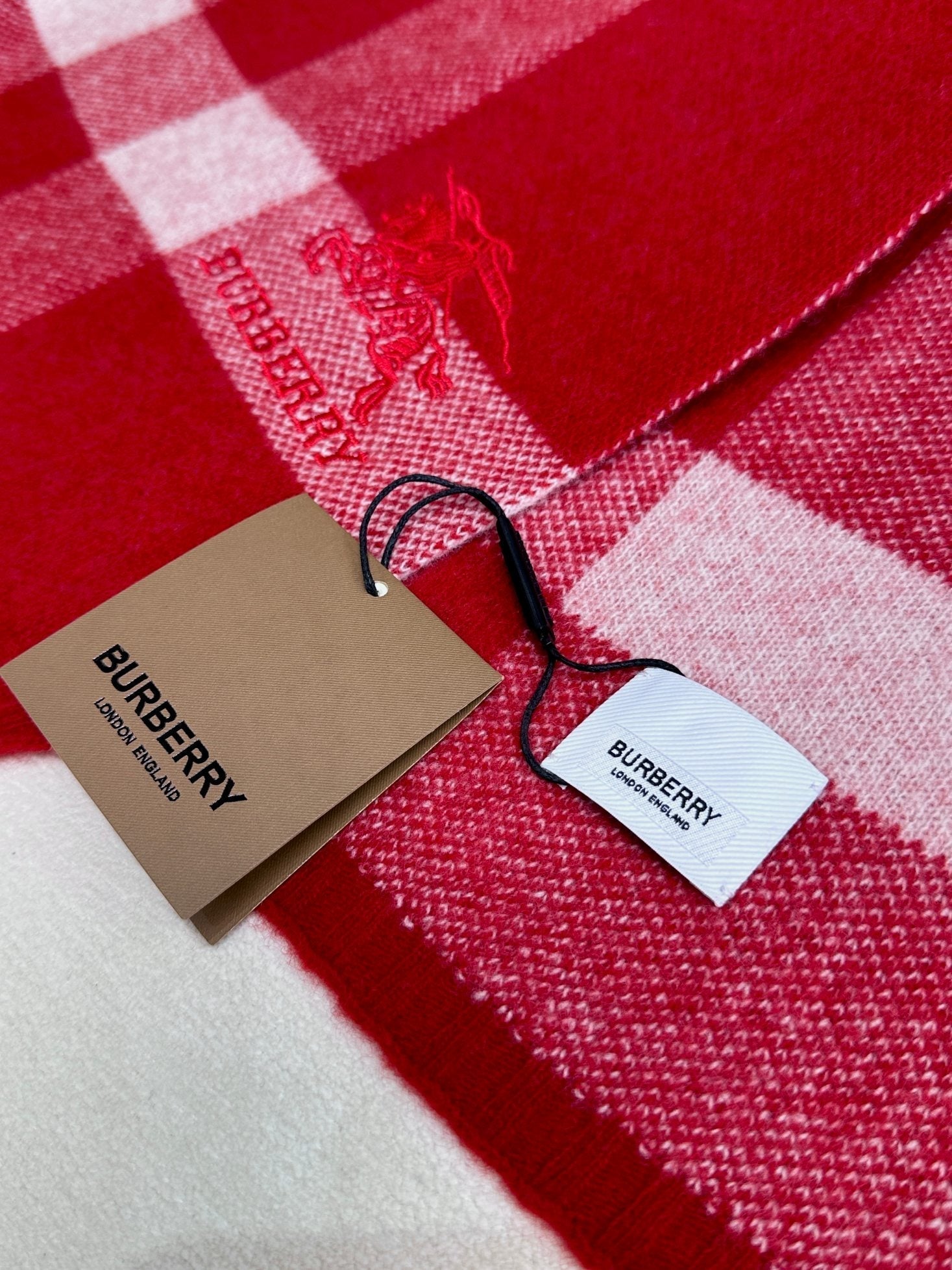 SCARF 190 CM IN CHERRY RED CASHMERE 398397